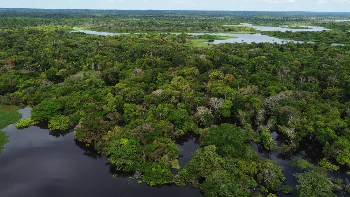 Brazil is part of a group that protects 70% of the planet's biodiversity